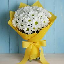 Букет цветов из:  Хризантемы в Вольно-Надеждинское