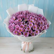 Букет цветов из:  Хризантемы в Вольно-Надеждинское