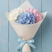 Букет цветов из:  Гортензия в Вольно-Надеждинское