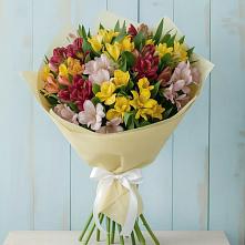 Букет цветов из:  Альстромерии в Вольно-Надеждинское