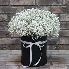 Цветочная композиция из Гипсофила в шляпной коробке в Вольно-Надеждинское