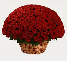 Премиум букет из: Розы в Вольно-Надеждинское